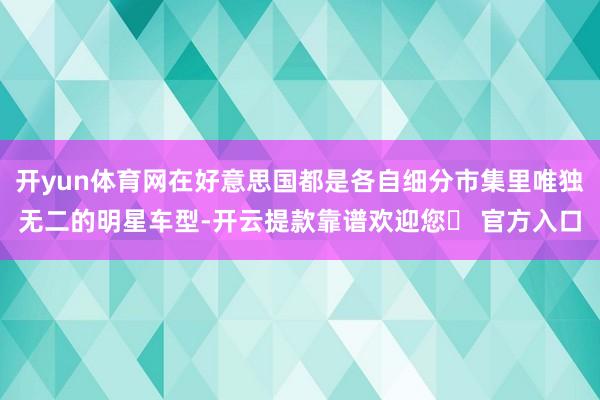 开yun体育网在好意思国都是各自细分市集里唯独无二的明星车型-开云提款靠谱欢迎您✅ 官方入口